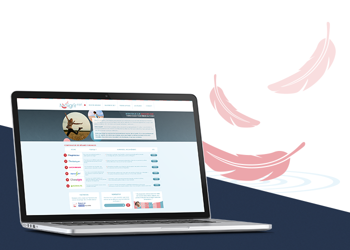 Maigrir.net webdesign front-end dev
